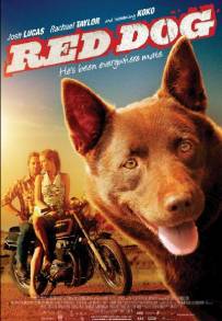 Red Dog