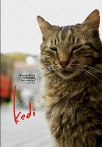 Kedi - La città dei gatti