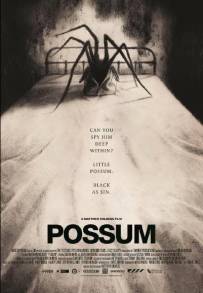 Possum