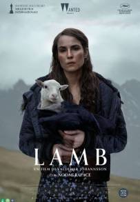 Lamb