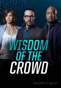 Wisdom of the Crowd - Nella rete del crimine