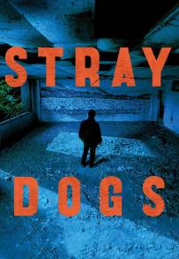 Stray Dogs